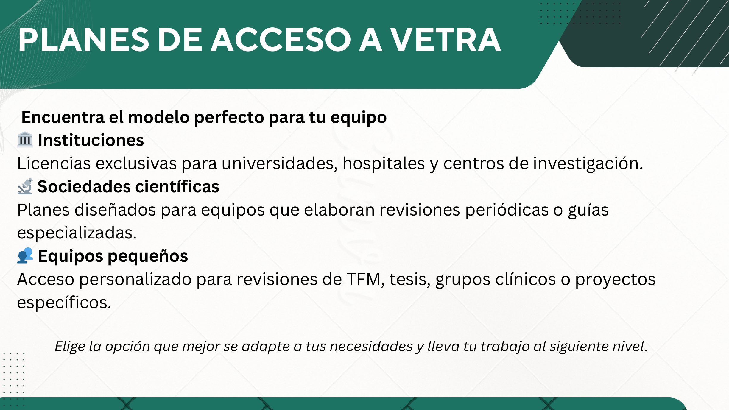Pitch deck de Vetra, página 6